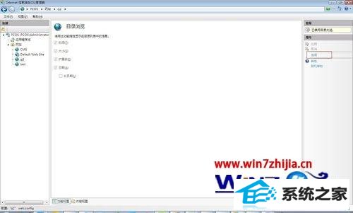 win8ϵͳiisҳν