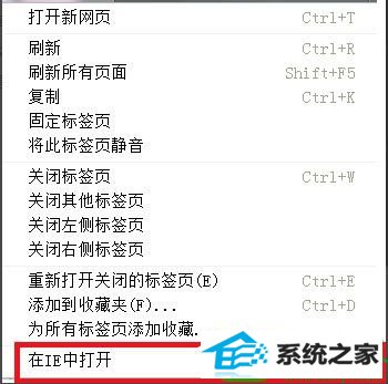 win10ϵͳҳƵ޷ŵĽ